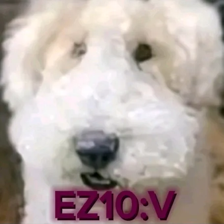 @ez10_v
