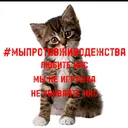 @lev.and.emma.cats0_0