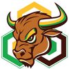 blockchainbullalpha