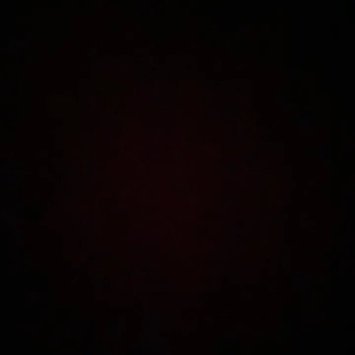 @zoeecamila28