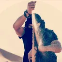 @illupo29
