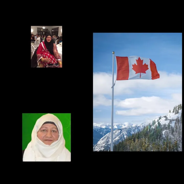apafromnorthamerica