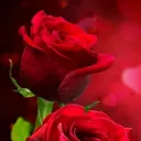 @hsjgxhd
