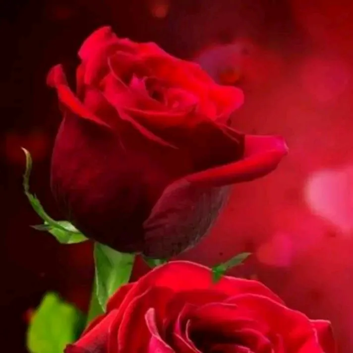 @hsjgxhd