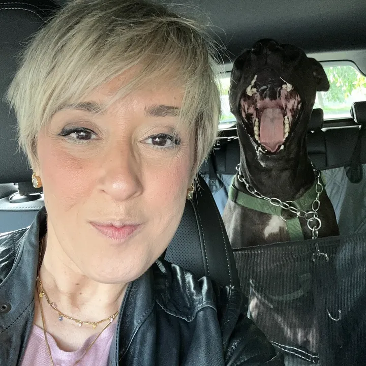 @flaviotty78