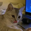 @ouessssss