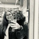 @enzociaravino2