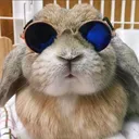 @tiere_kennenlernen