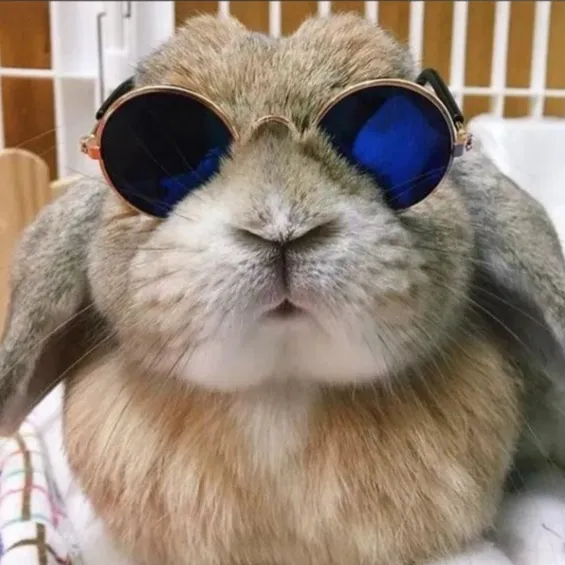 tiere_kennenlernen