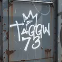 @taggin73