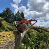 minitruckdriver1