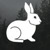 rabbit_hole_addicts