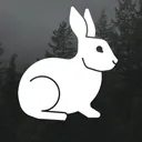 @rabbit_hole_addicts