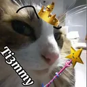 @ti3mmy