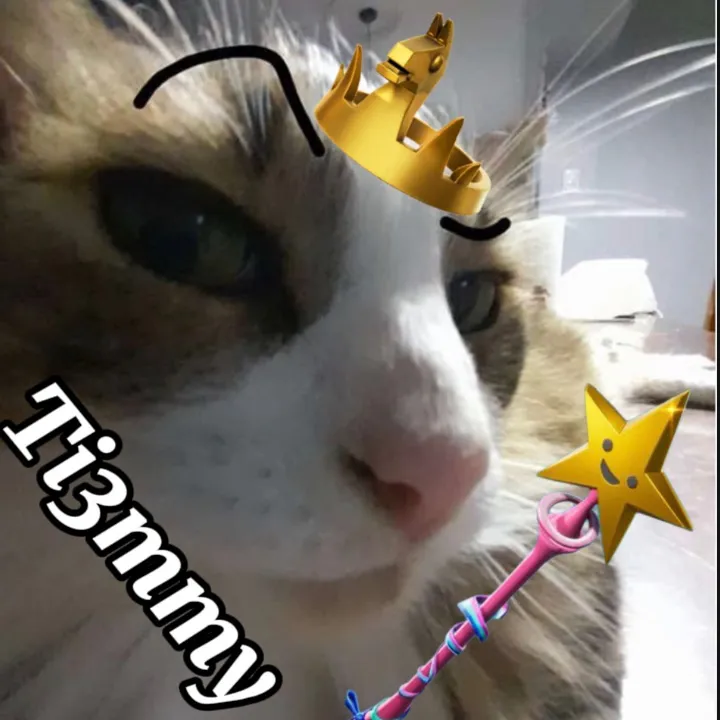 ti3mmy