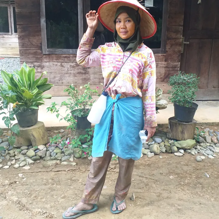 nenggelispisa