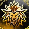 taekwondolionsteam