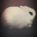 @resemblanceofyurei