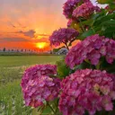 @svetlanakozlova089
