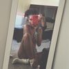 user197891730
