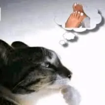 @jonatann.dvd