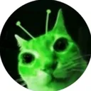 @el.gato.loquendo.g