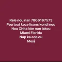 @djino...lisans
