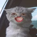 @witchenkitch