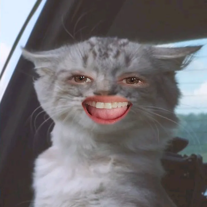 @witchenkitch