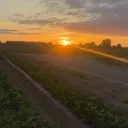 @pablocarbajal63