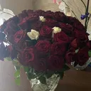 @burghelea.ina