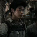 @minhosharness