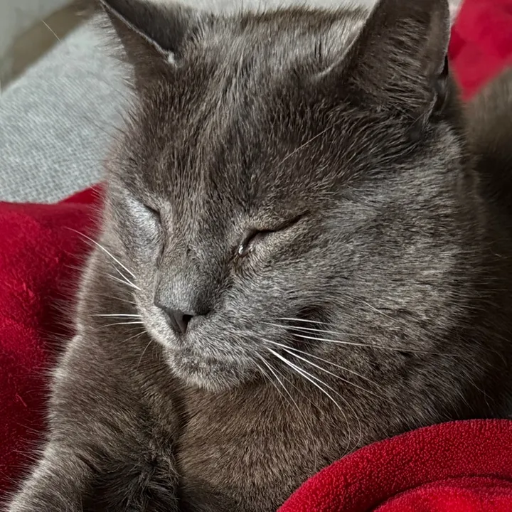 sophiemagworld