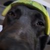 nucky_2316