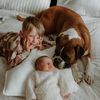 babyarthurandboxerbruno