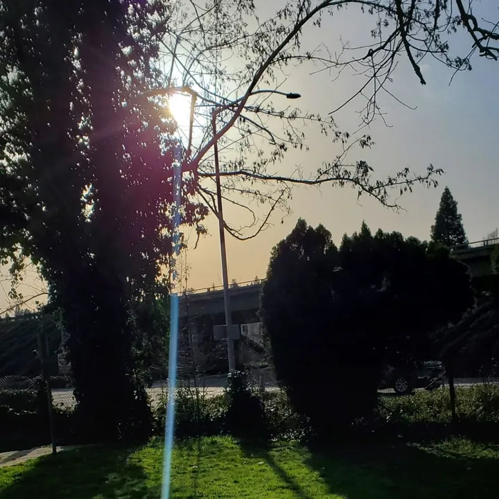 4lor4_4ngel