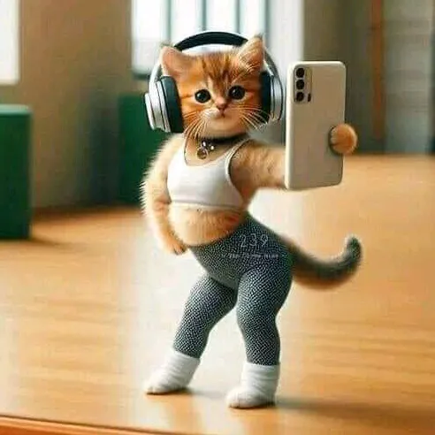 @heart_cat