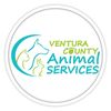 vcanimalservices