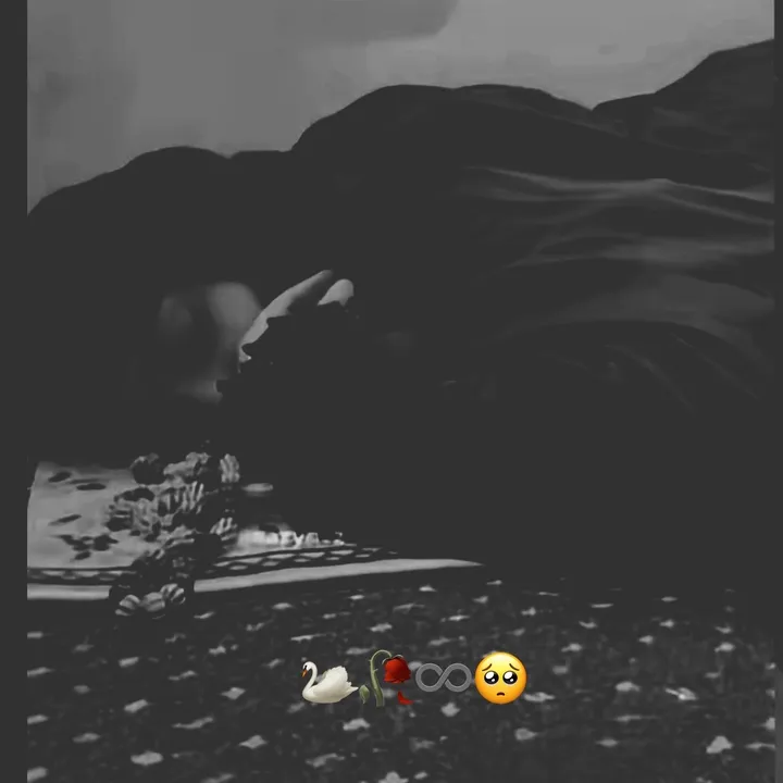 userdaquflz4gr