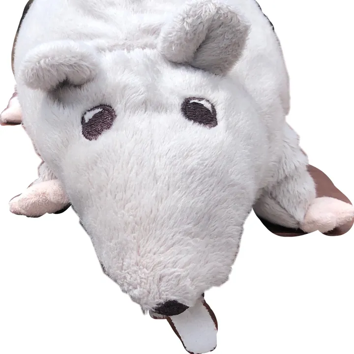 rattin.out