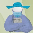 @porplevr