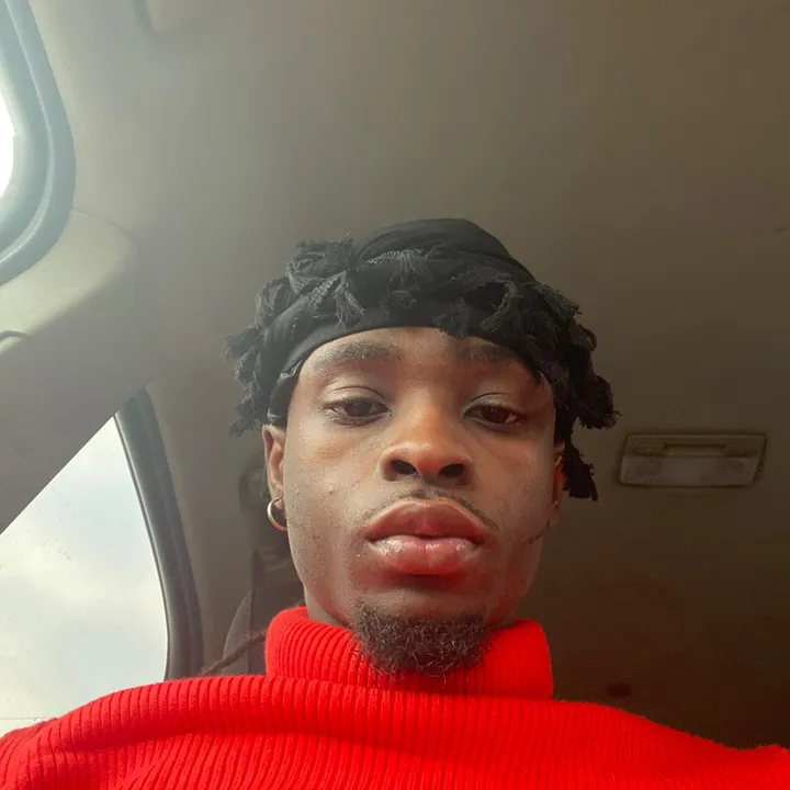 @edogedog