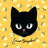 emiewonders.shop