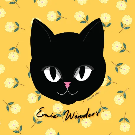 emiewonders.shop