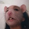 tiktoxcity1