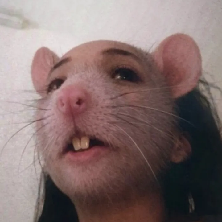 tiktoxcity1