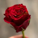 @s_kh005