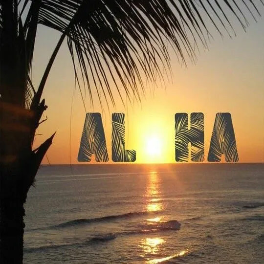 aloha_vibez808