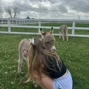 @megsminifarm