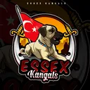 @essexkangals